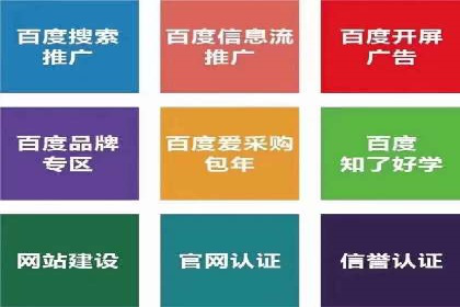 谷歌竞价广告的投放策略与成功案例分析